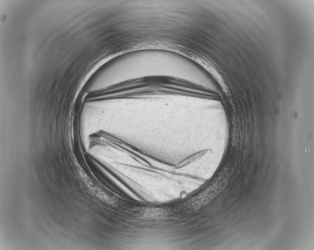 X0000087400984200705111821