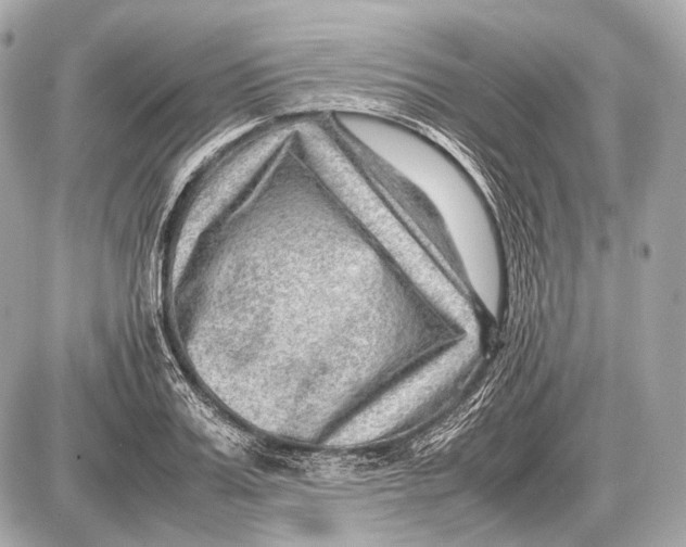 X0000087400987200705111821