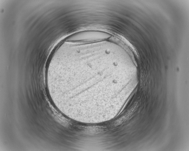 X0000087400988200705111821