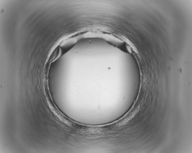 X0000087400989200705111821