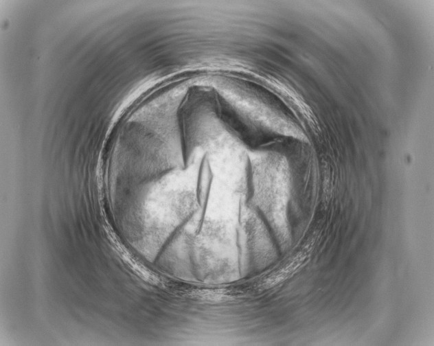 X0000087400990200705111821