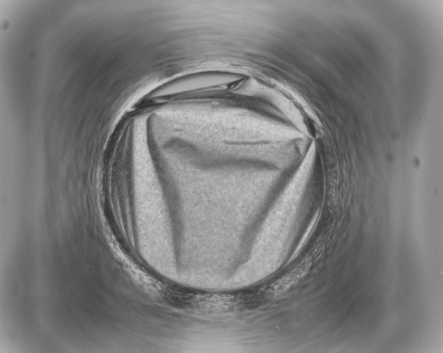 X0000087400991200705111821