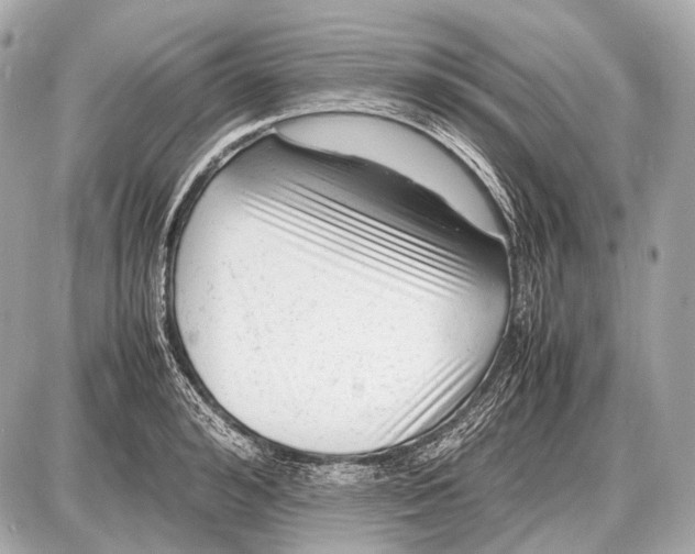 X0000087400992200705111821