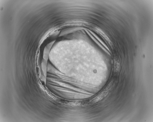 X0000087400994200705111821