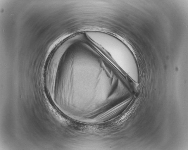 X0000087400995200705111821