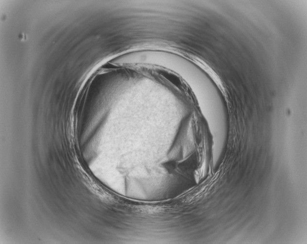 X0000087400996200705111821