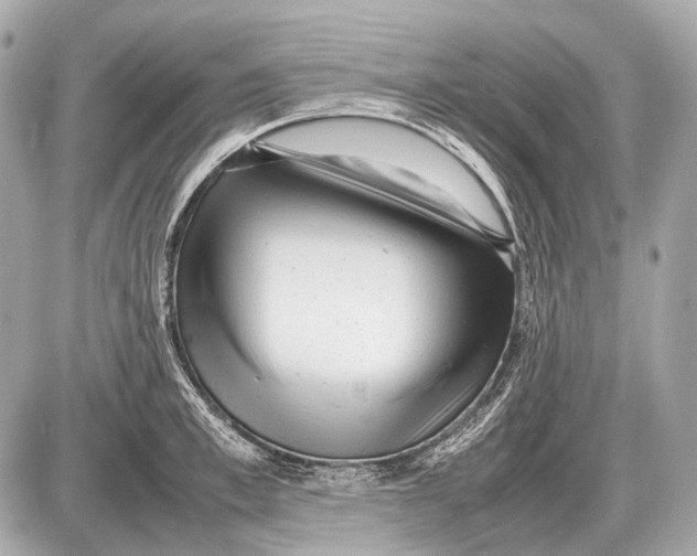 X0000087400997200705111821