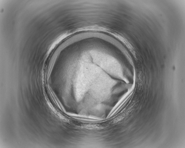 X0000087400998200705111821