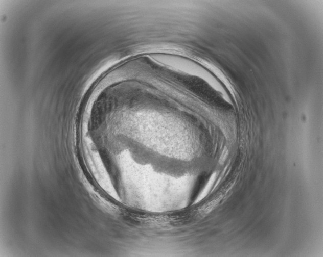 X0000087400999200705111821