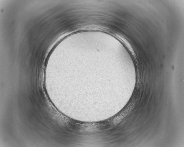 X0000087401000200705111821