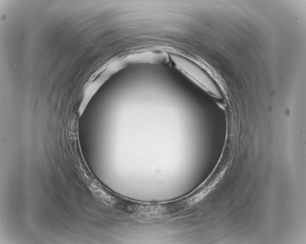 X0000087401001200705111821