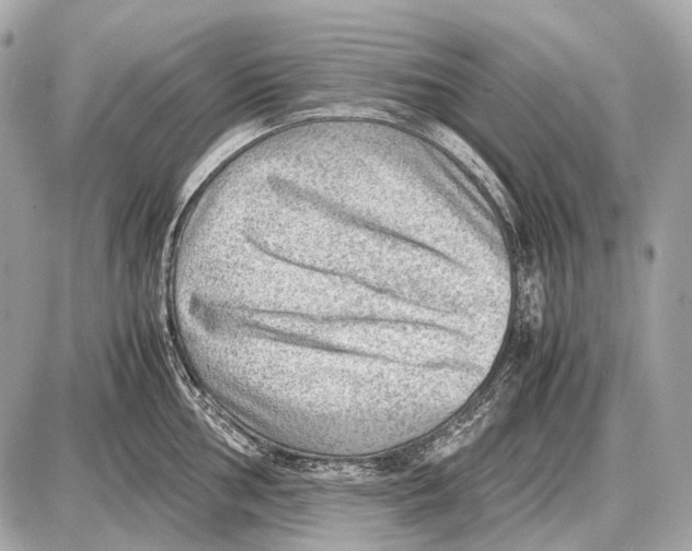 X0000087401002200705111821