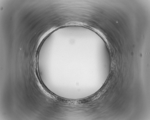 X0000087401003200705111821