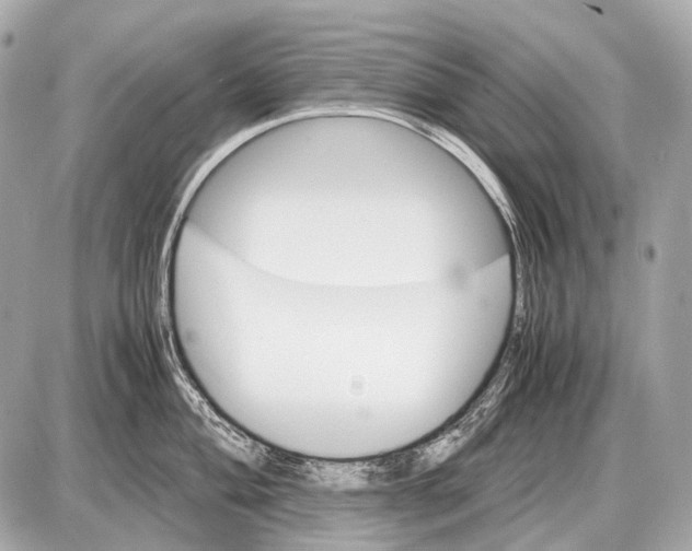 X0000087401004200705111821