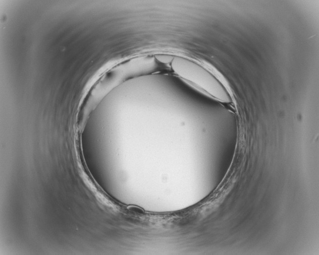 X0000087401005200705111821