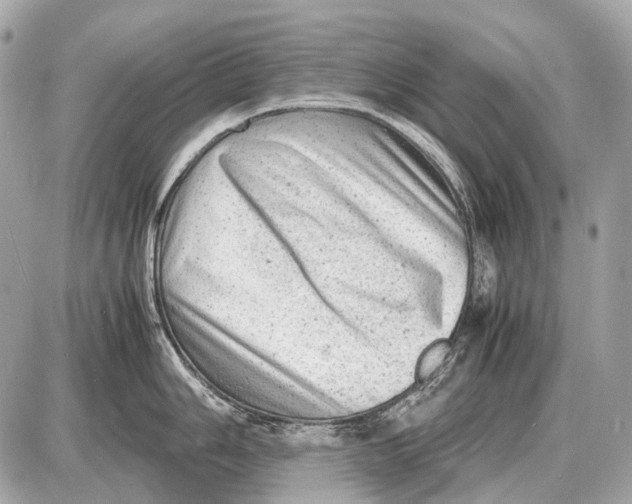 X0000087401006200705111821