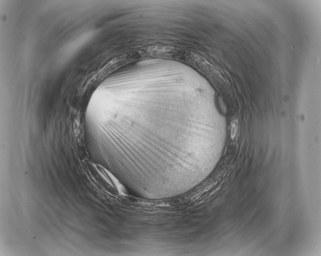 X0000087401011200705111820