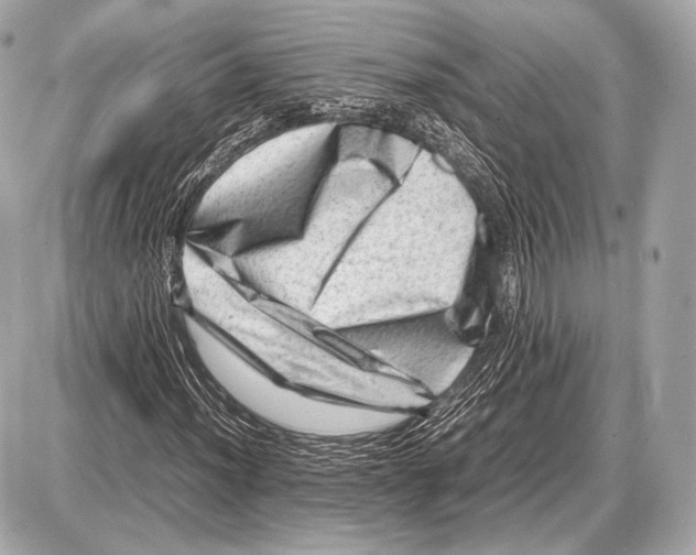 X0000087401012200705111820