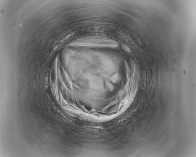 X0000087401013200705111820