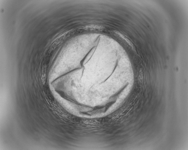 X0000087401015200705111820