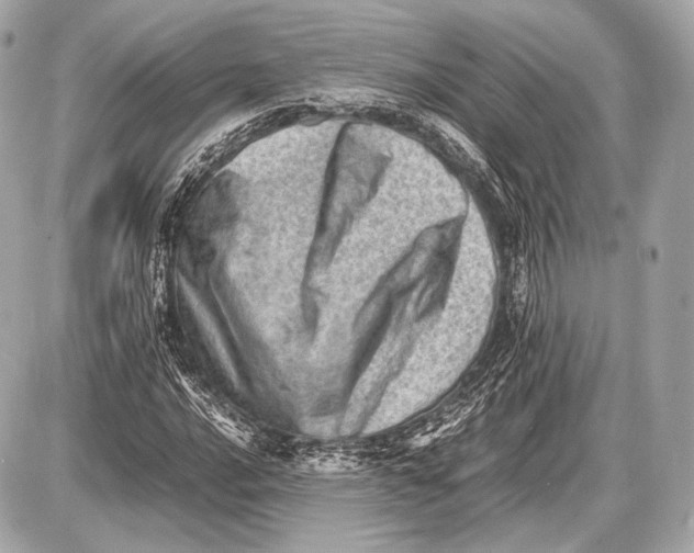 X0000087401016200705111820