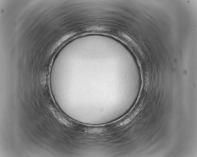 X0000087401017200705111820