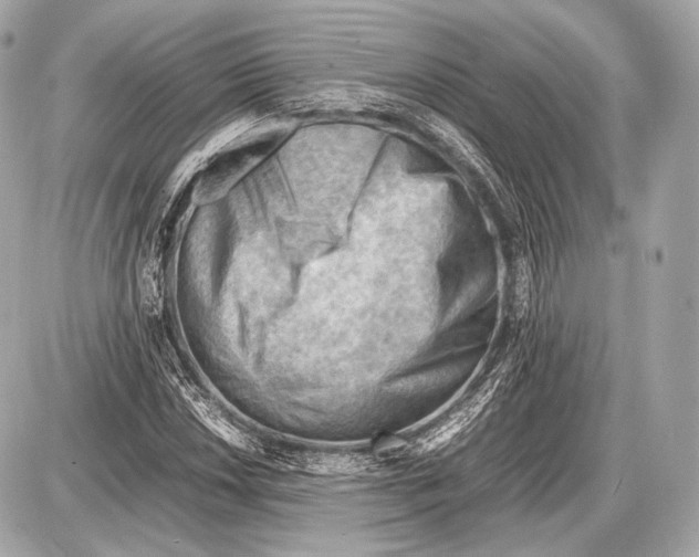 X0000087401018200705111820