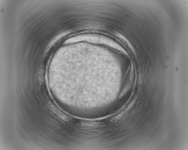 X0000087401019200705111820