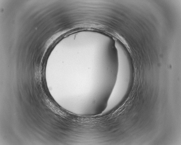 X0000087401020200705111820