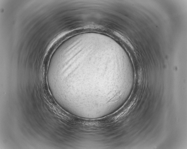 X0000087401021200705111820