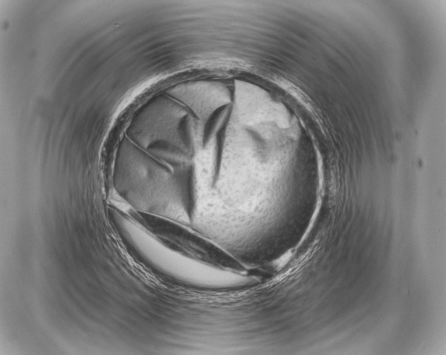 X0000087401022200705111820