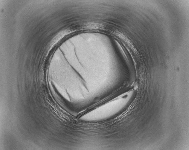 X0000087401023200705111820