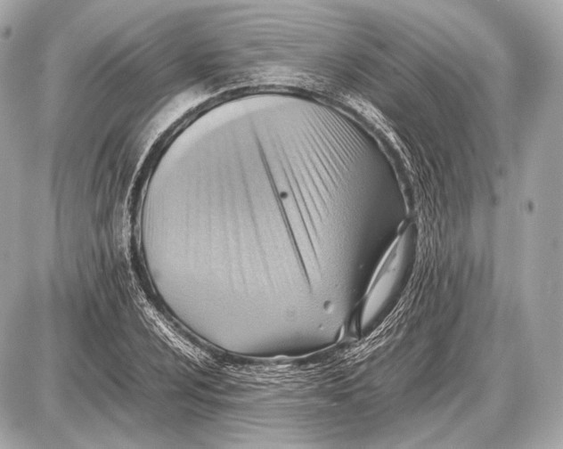 X0000087401024200705111820