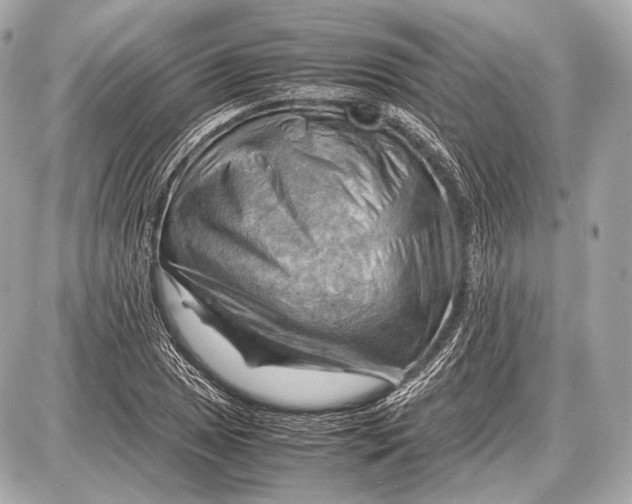 X0000087401025200705111820