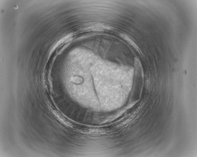 X0000087401026200705111820