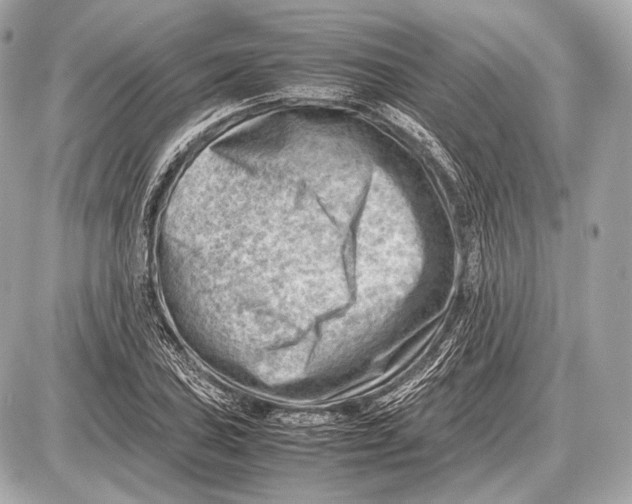 X0000087401027200705111820