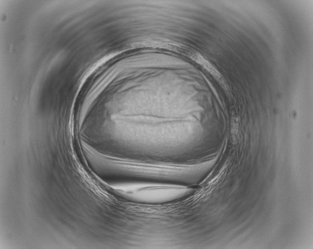 X0000087401028200705111820