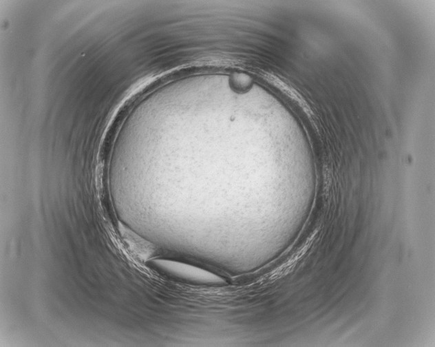 X0000087401029200705111820