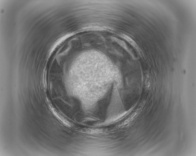 X0000087401030200705111820