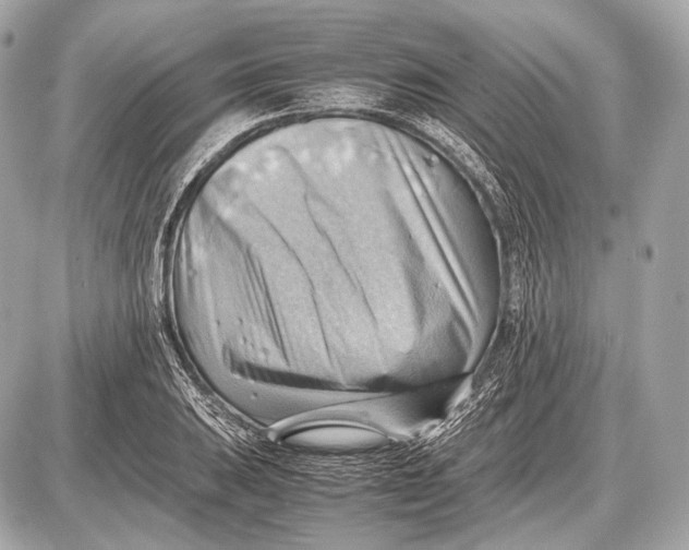 X0000087401031200705111820