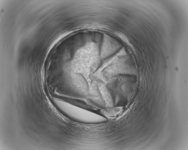 X0000087401032200705111820