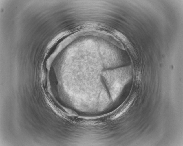 X0000087401034200705111820