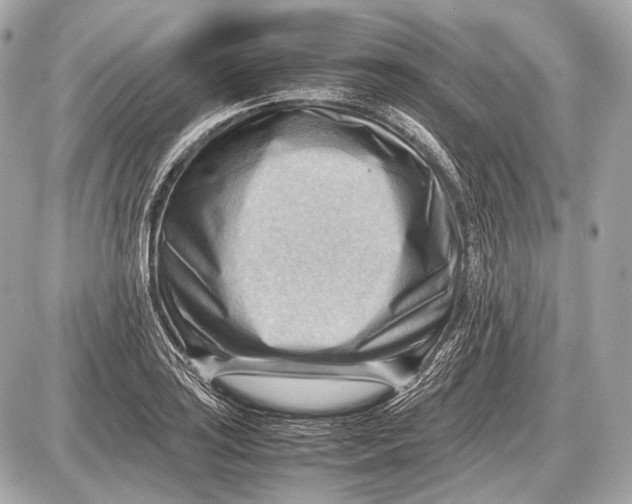 X0000087401035200705111820