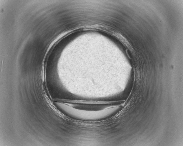 X0000087401036200705111820