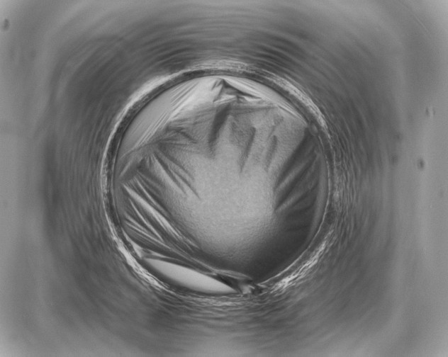 X0000087401037200705111820