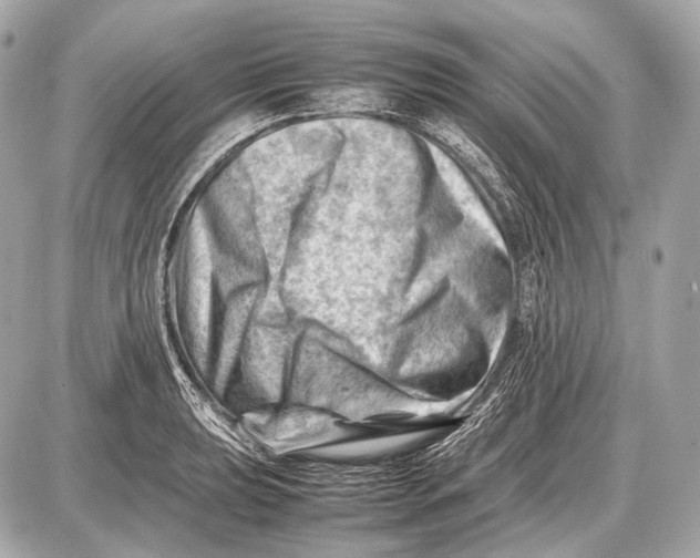 X0000087401039200705111821