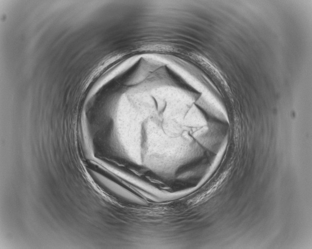 X0000087401041200705111821