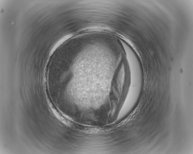 X0000087401042200705111821