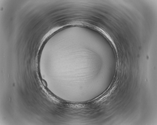 X0000087401045200705111821