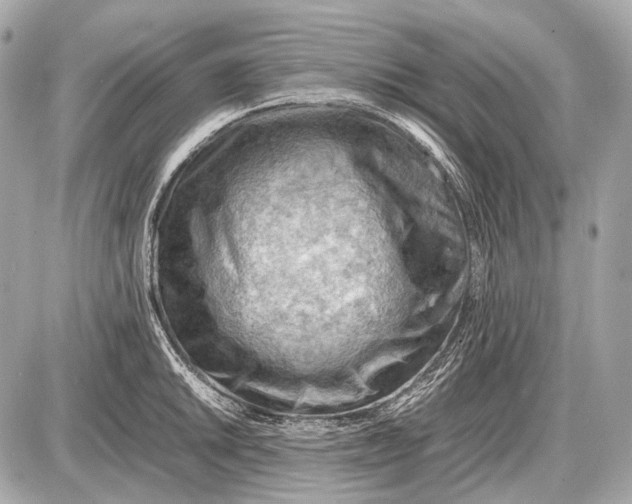 X0000087401046200705111821